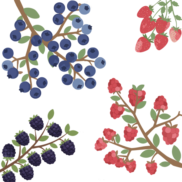 Fruity