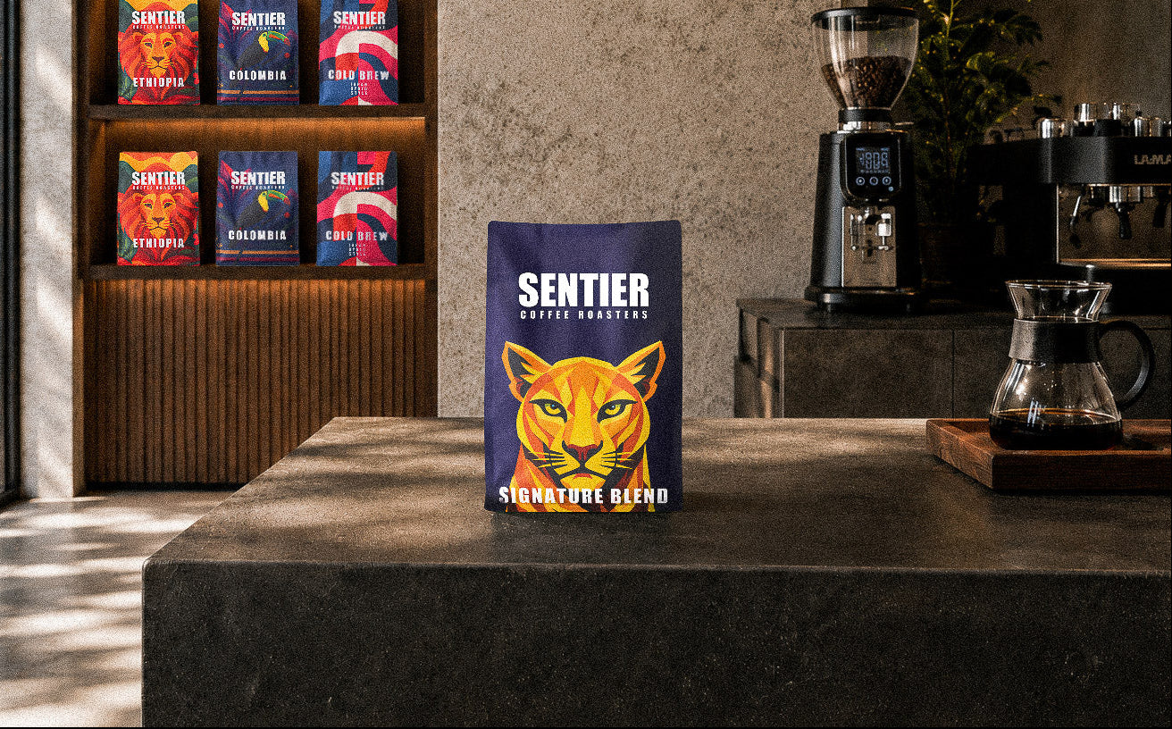 Sentier coffee bags on a shelf and counter in a modern kitchen setting
