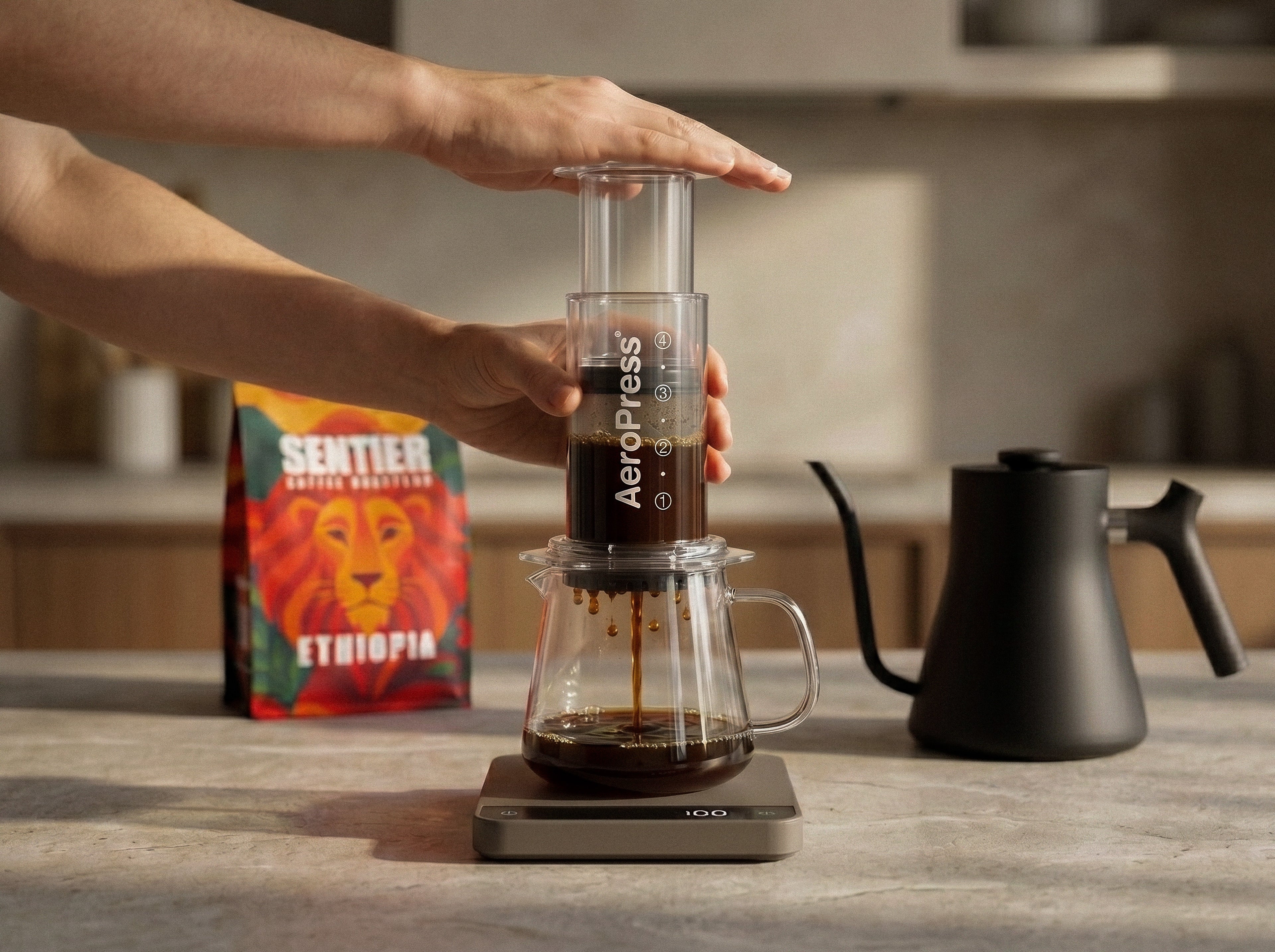 Person using an AeroPress to make coffee with a Sentier Coffee bag in the background.