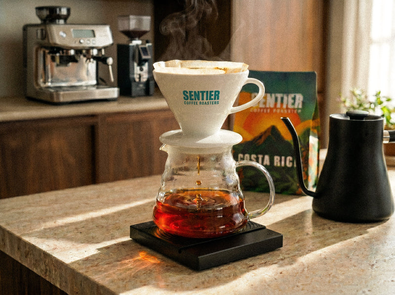 Coffee brewing setup with a pour-over coffee maker on a countertop, featuring Sentier Coffee Roasters bag.