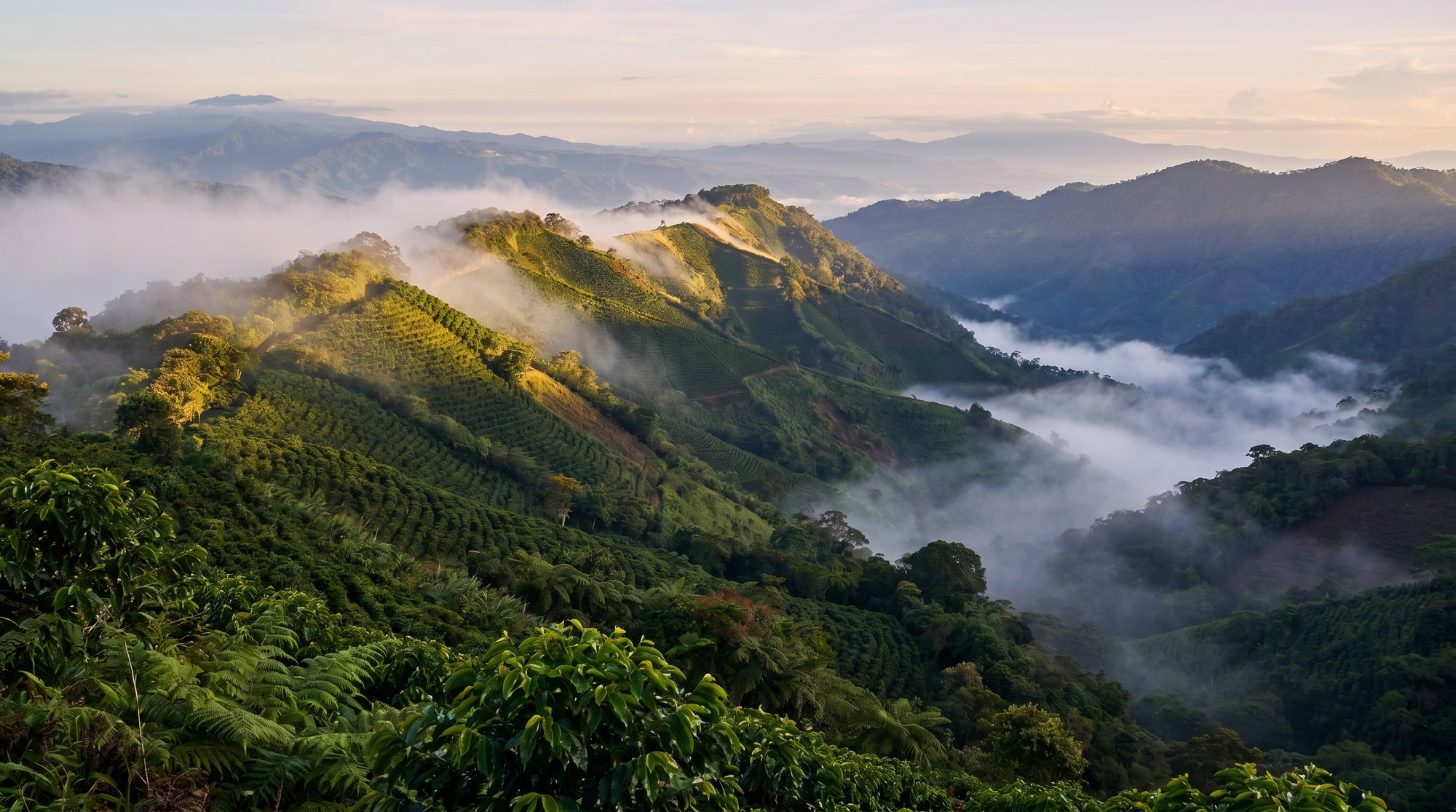 Mountain landscape with misty valleys and greenery