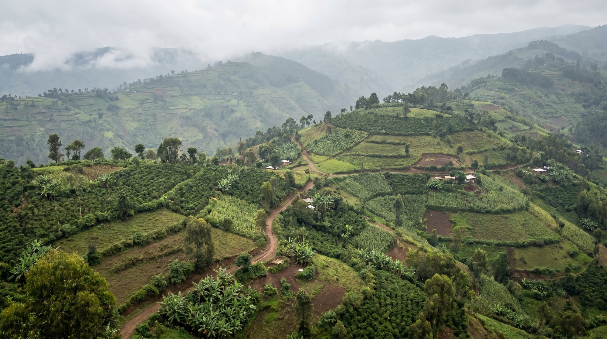 Hilly landscape with greenery and a road winding through it on a cloudy day.